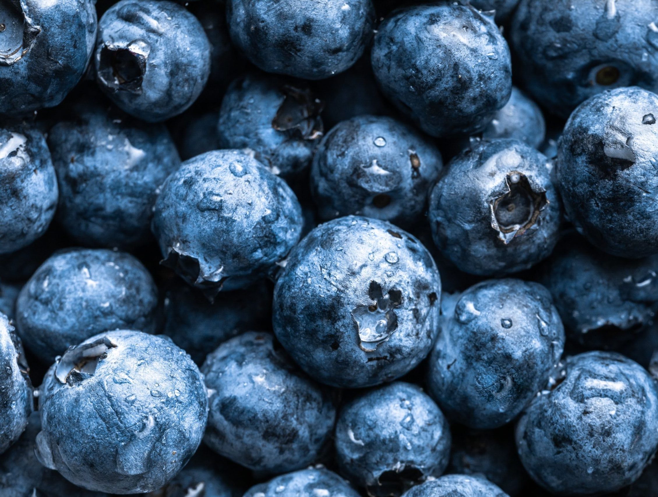 Fresh blueberries